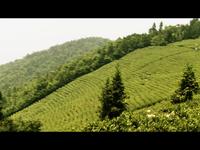 Jakob Montrasio :: Cinematography Showreel 2009