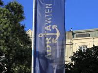Blogtail #7