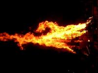 Moving Paterns / FIRE / Barcelona