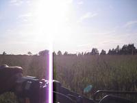 ATV