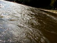 Elora Grand River Tubing