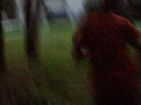 Short film:  Corrupt Reminiscence