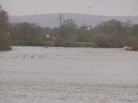 Severn Bore Riders