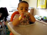 Yogurt