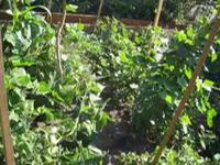 First Unitarian Church Garden Celebration