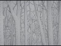 Landscapes