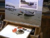 Beached Whaler 12