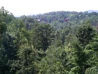 The View Outside My Window