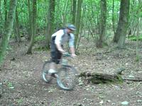 Stanmer woods rubbishness :)