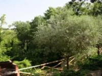 Bed and breakfast Il Querceto Perugia- Umbria
