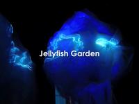 Jellyfish Garden Jellyfish Garden