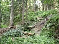 First RIVER GAP in "Teleproter" trail
