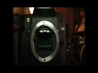 D80 shutter