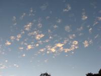 Vertical Time Lapse - Pink Clouds