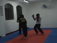 Sanshou (Boxe Chinês)  Academia Mestre Gomes Neto – Martial Arts Kung Fu