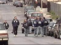 Documentary: Scarface 4 Life