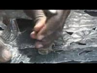 Metal Drum Art