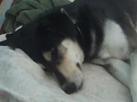 Mama caught me eating june bugs in my sleep.