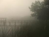 Fog & Sunset