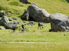 Val Trela: Trek & Bike (S)