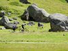Val Trela: Trek & Bike
