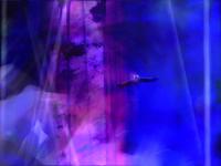 Dedication Watine by Piel