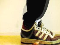 ADIDAS vs THE EGG