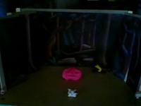 Consummation of a Claymation Doomsday Device