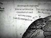Fragmento "Caja Negra" para Cinema Maquina
