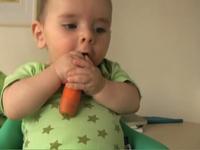 sammy gumms carrot