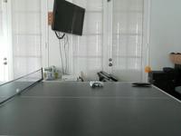 Bouncing Ping Pong Reference