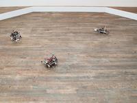 Field Studies on Walking Robots