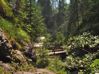 Destination Sappada 2009 (summer edition)