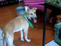 round 754, para bruno