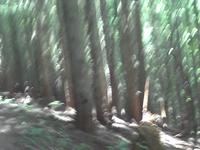 Climbing Sun Top Mountain