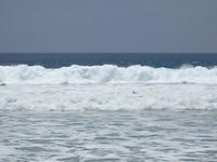 US Open Surf 1
