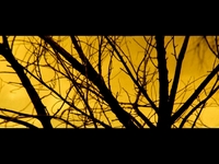 Two Sided Productions Demo Reel.