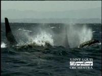 SLSO Presents The Blue Planet Live! TV ad