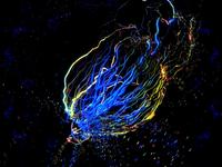antipode visual