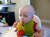 15 months, Fun with the spray bottle