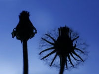 Timelapse Film - Kachi-Kalion Trip