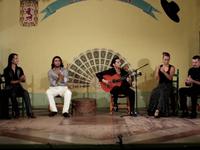 Flamenco Puro - Sin Tapujo