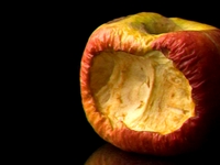 ecological apple