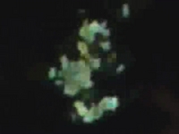 Spying on The Talking Moon