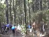 Cobweb Classic 2009
