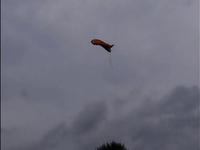 hanys eS first ride and fly on U.K. land