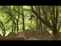 Segment Clothing - Arrash Saidi 08