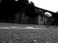 Hop Whip