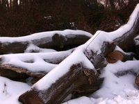 Snow Blanket