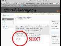 Video Post in WP